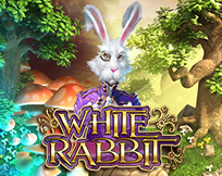 White Rabbit